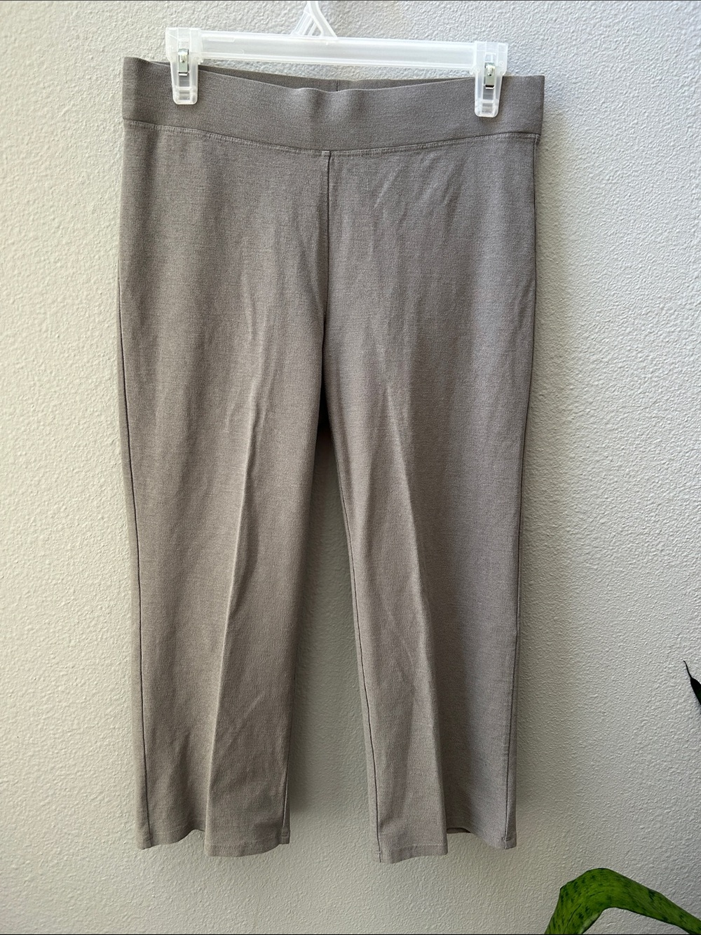 Eileen Fisher Gray Cropped Knit Pants XS